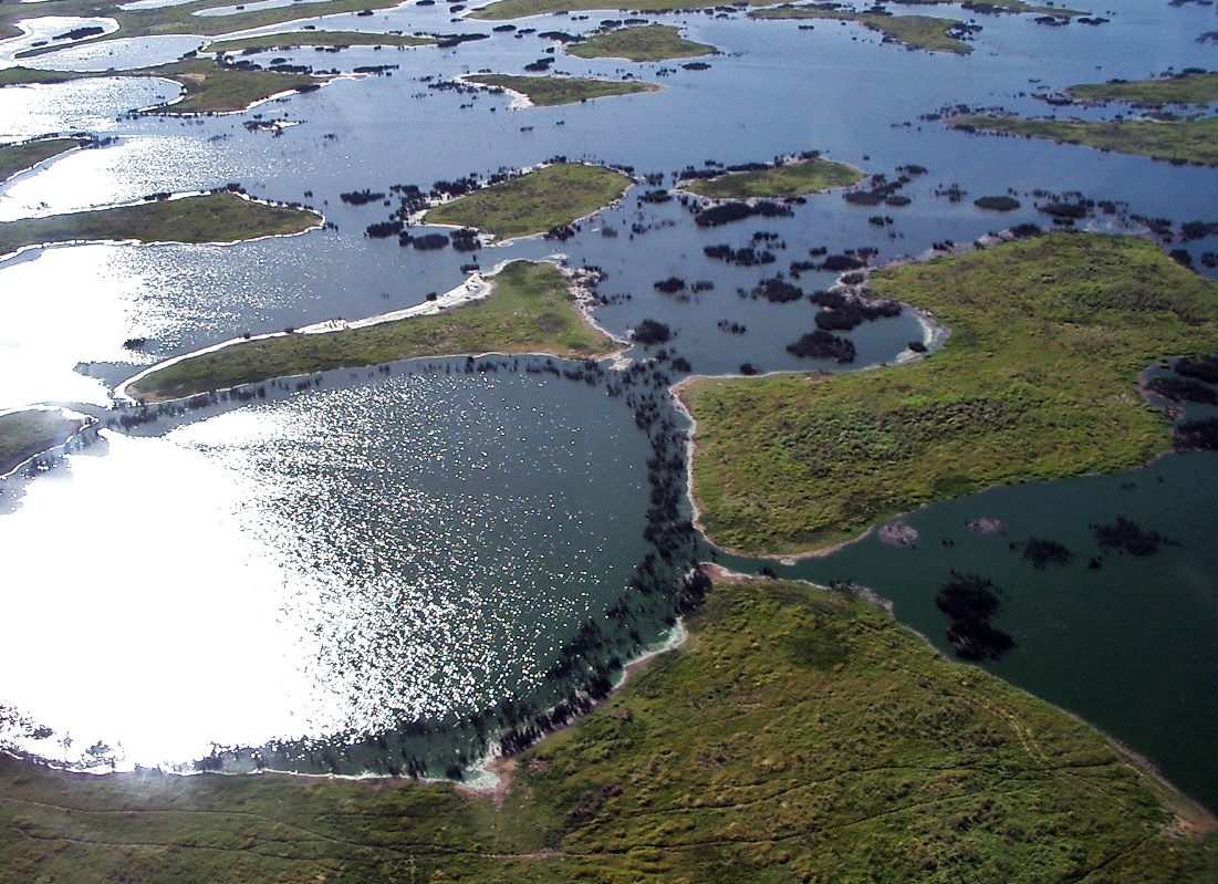 Đầm lầy Pantanal lớn nhất thế giới đang bị cháy
