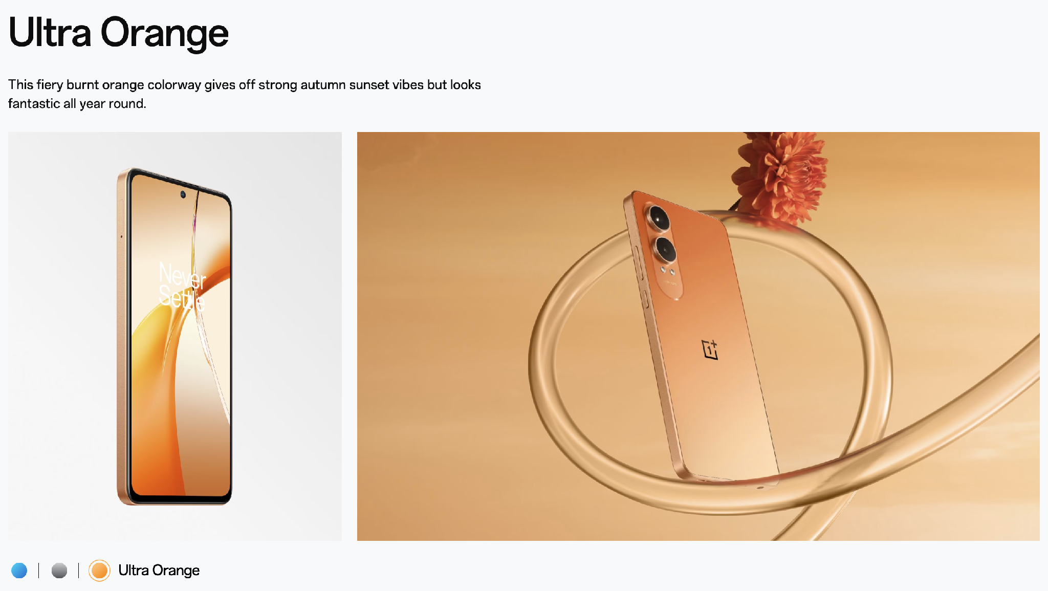 oneplus-nord-ce-4-lite-mau-cam.png