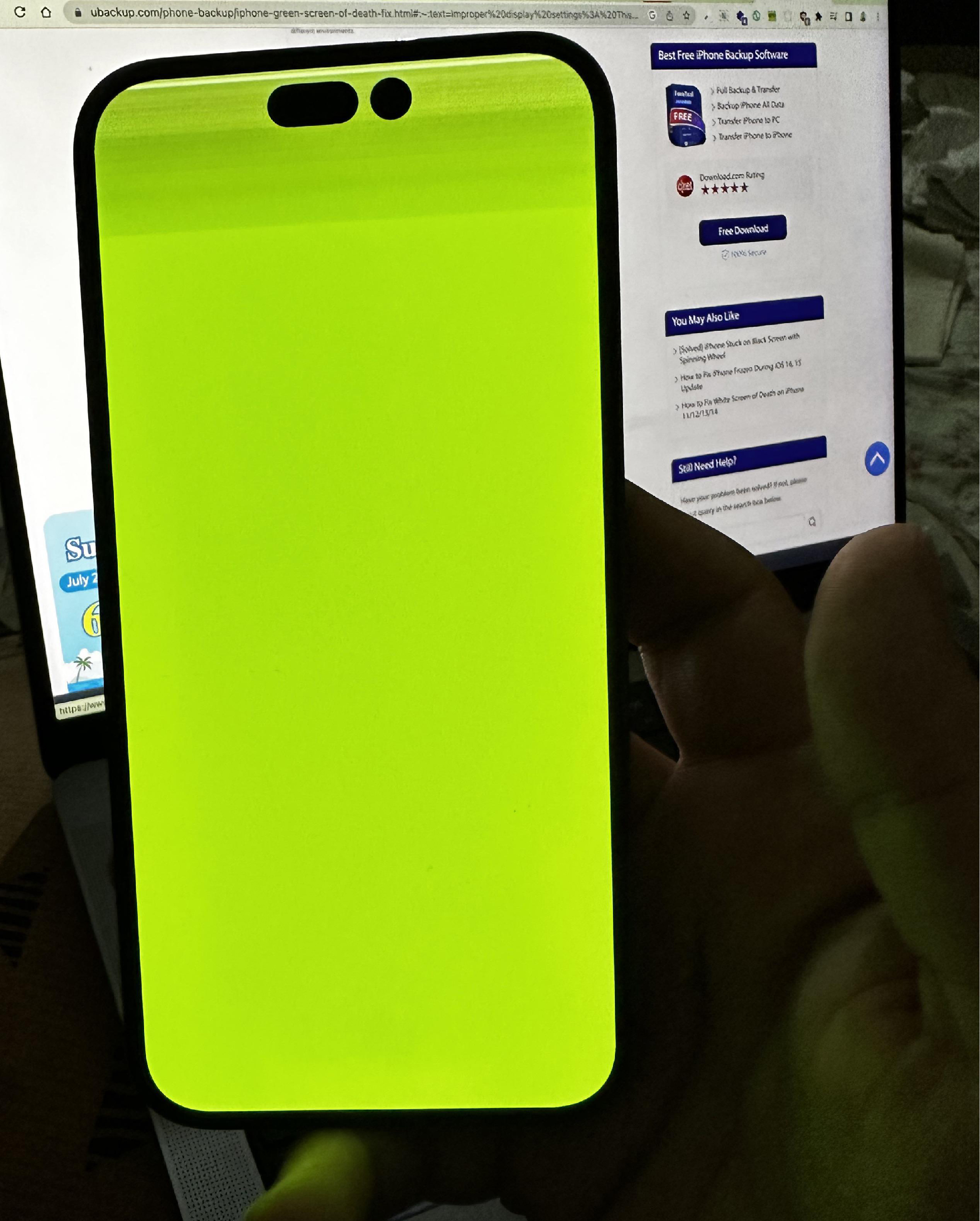 iphone-14-green-screen-bug.jpg