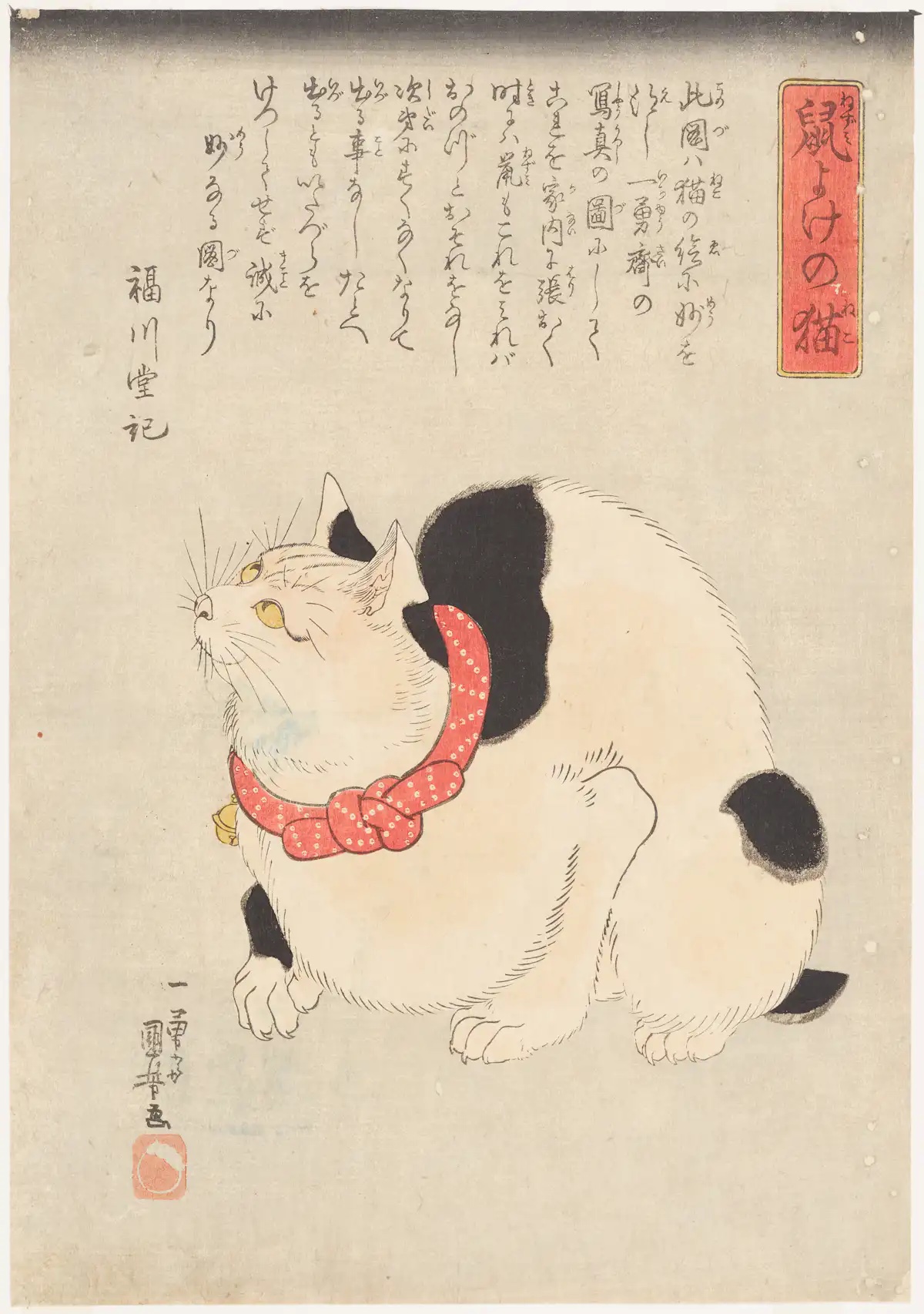 meo-than-tai-8.jpg
