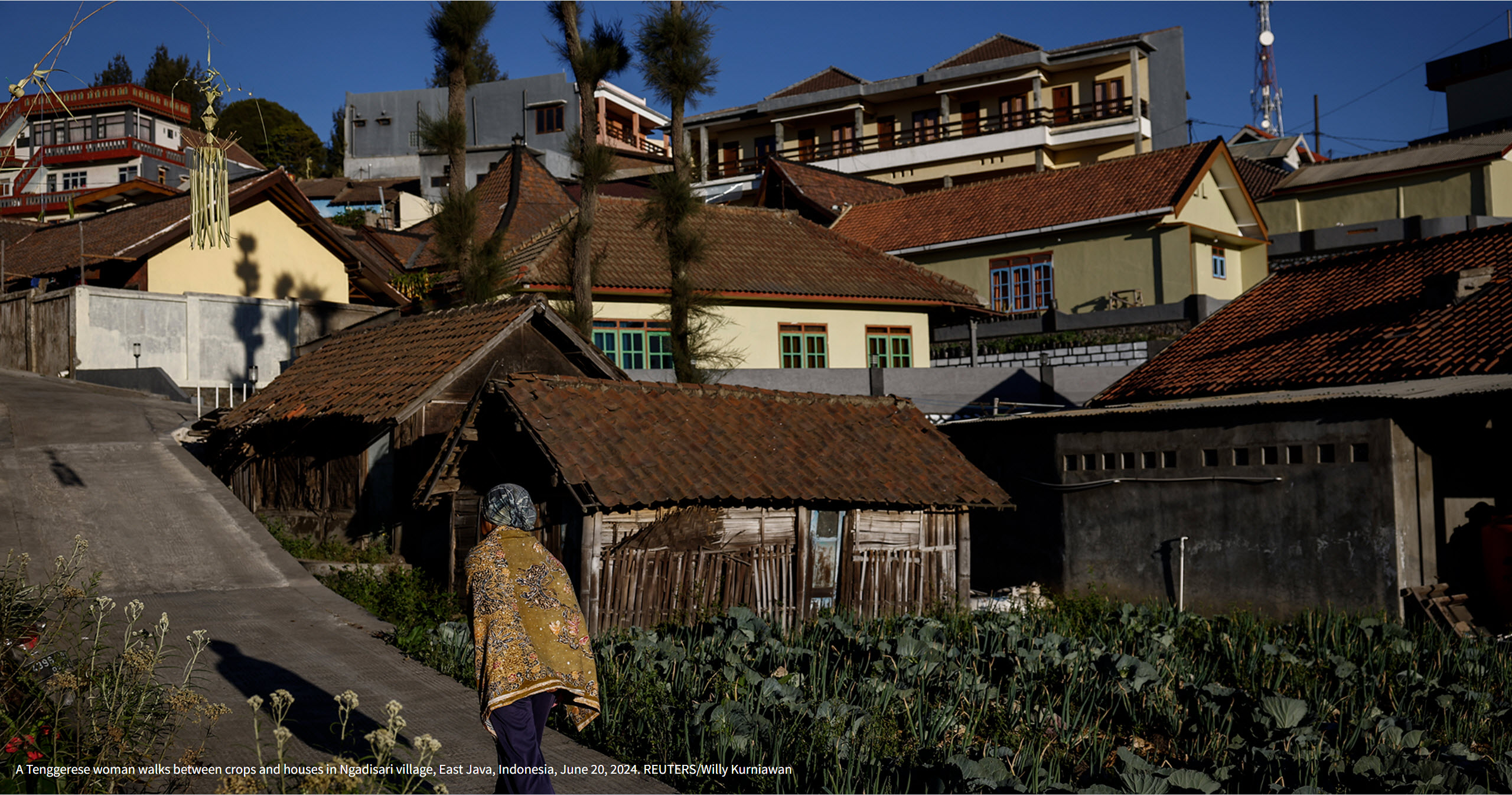 tinhte-Tengger-te-le-cau-mua (8).jpg